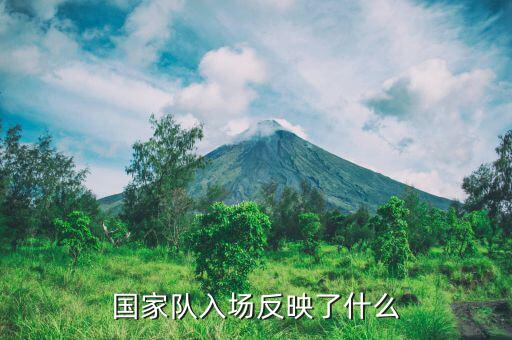 國(guó)家隊(duì)進(jìn)場(chǎng)是什么意思，國(guó)家隊(duì)入場(chǎng)反映了什么