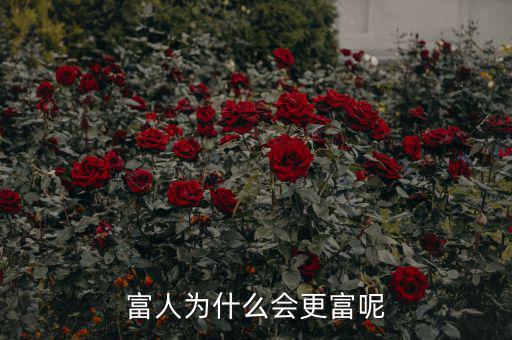富人為什么越來越富，為什么富人越來越富
