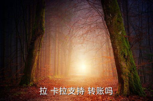 手機拉卡拉怎么轉賬,如何從la卡拉手機轉賬到銀行卡?