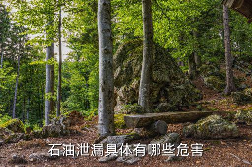 原油泄漏影響什么部門，石油泄漏具體有哪些危害