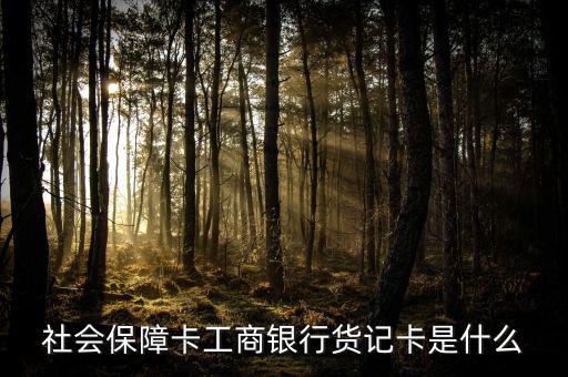 工商銀行養(yǎng)老卡叫什么，工行山西社保卡是什么卡