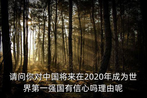 請問你對中國將來在2020年成為世界第一強(qiáng)國有信心嗎理由呢