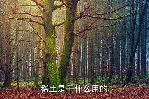 為什么稀土，日本為什么要進(jìn)口稀土 稀土是什么
