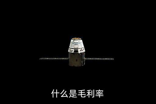 毛利率是什么，毛利率是什么意思