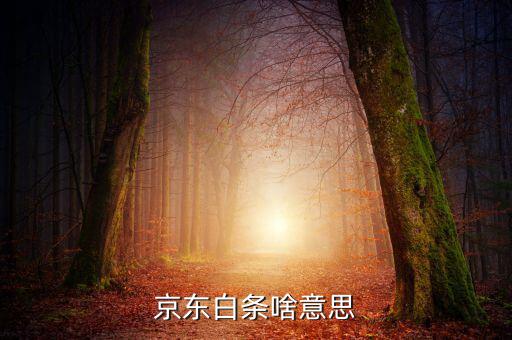京東白條是什么，京東白條啥意思