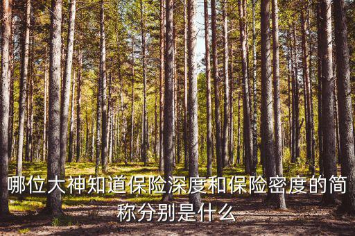 什么叫保險(xiǎn)密度，保險(xiǎn)深度與密度是什么