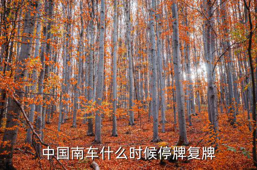中國(guó)南車什么情況，中國(guó)南車跌停預(yù)示著大盤明天有什么狀況
