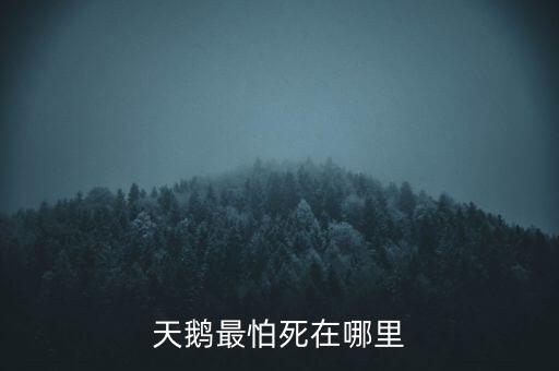 天鵝怕什么，天鵝最怕死在哪里