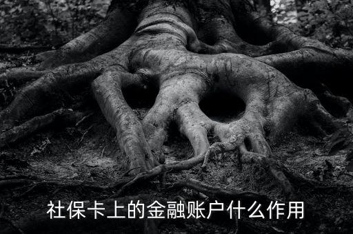 社?？ㄉ系慕鹑谫~戶什么作用