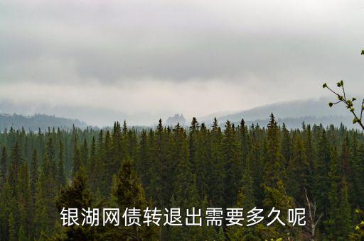 銀湖網(wǎng)投資怎么樣,熊貓金控債權(quán)轉(zhuǎn)讓利息可以自行設定嗎?