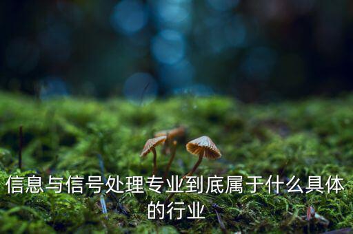 信息與信號(hào)處理專業(yè)到底屬于什么具體的行業(yè)
