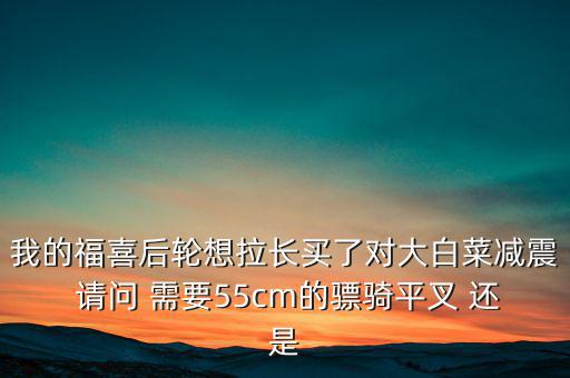 我的福喜后輪想拉長(zhǎng)買(mǎi)了對(duì)大白菜減震 請(qǐng)問(wèn) 需要55cm的驃騎平叉 還是