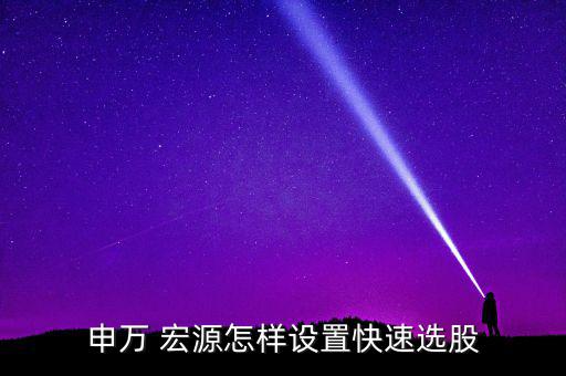 申萬 宏源怎樣設置快速選股