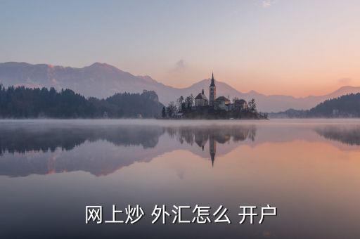網上炒 外匯怎么 開戶