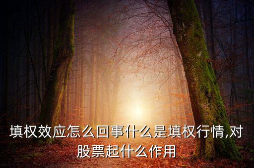 填權(quán)效應(yīng)怎么回事什么是填權(quán)行情,對(duì)股票起什么作用