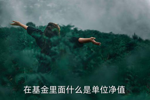 什么是基金單位凈值，基金單位凈值是什么意思