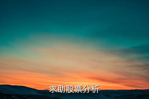 求助股票分析
