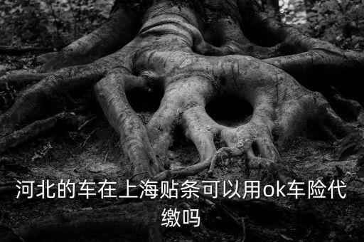河北的車在上海貼條可以用ok車險(xiǎn)代繳嗎