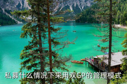雙gp基金是什么，私募什么情況下采用雙GP的管理模式