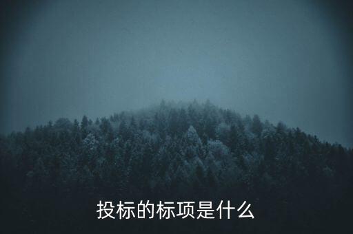 投標(biāo)的標(biāo)項是什么