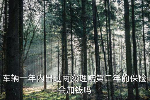 一年中兩次事故理培有什么影響，車輛一年內(nèi)出過兩次理賠第二年的保險(xiǎn)會(huì)加錢嗎