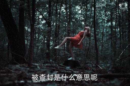 承兌匯票被查封是什么意思，被查封是什么意思呢