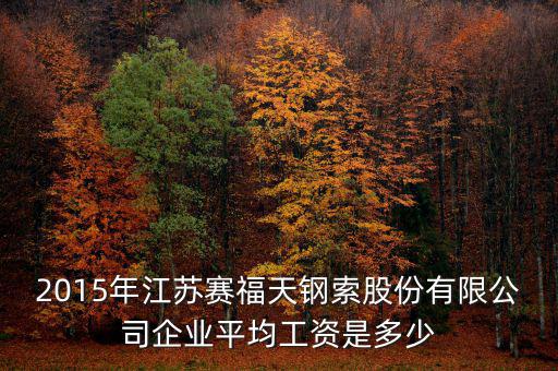 賽福天是什么公司，2015年江蘇賽福天鋼索股份有限公司企業(yè)平均工資是多少