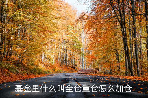 什么是基金加倉，基金里什么叫全倉重倉怎么加倉
