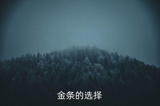 2O16什么金條保值，金條的選擇