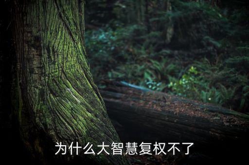 為什么大智慧復權不了