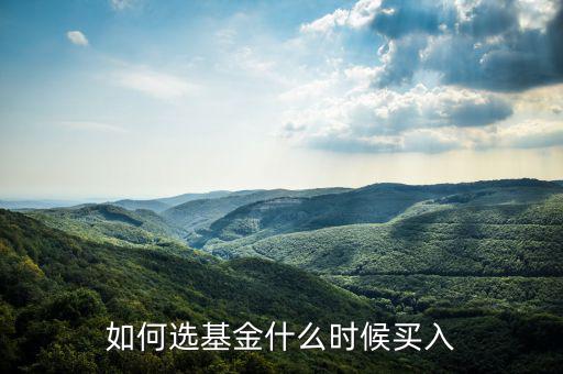 一只基金什么點買入好，我想買點基金哪一種比較好
