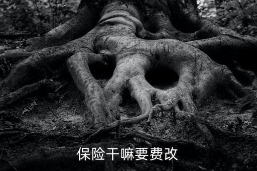 什么是費改產(chǎn)品，移動營業(yè)廳不能由用戶老產(chǎn)品轉(zhuǎn)換成當(dāng)前產(chǎn)品什么意思
