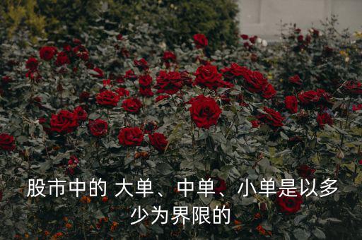  股市中的 大單、中單、小單是以多少為界限的
