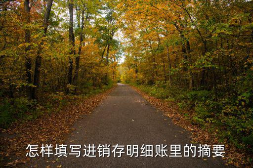 購入存貨摘要是什么，如果是進貨那么存貨分類帳上的摘要寫什么