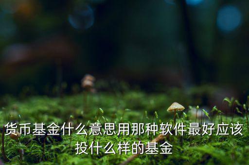 貨幣基金t什么意思，貨幣基金贖回時間T3是什么意思