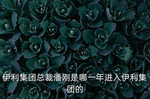 潘剛什么背景，潘剛是哪里人啊