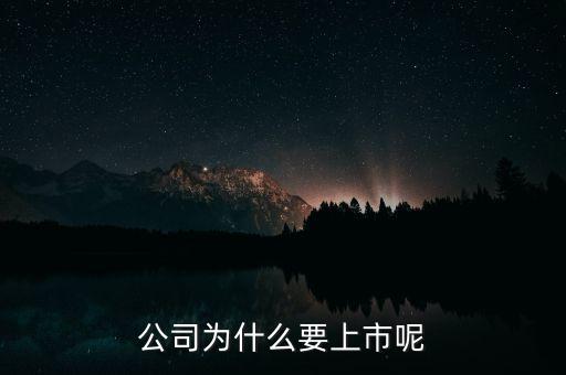 公司為什么上市，公司為什么要上市呢