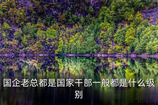中交地產(chǎn)總經(jīng)理屬于什么級別干部，國企老總都是國家干部一般都是什么級別
