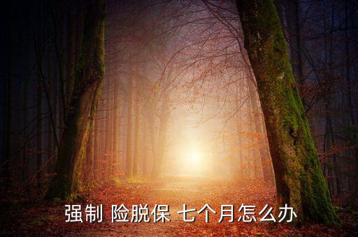 強(qiáng)制險脫保七個月怎么辦,強(qiáng)制保險不打折交強(qiáng)險險脫保修6個月