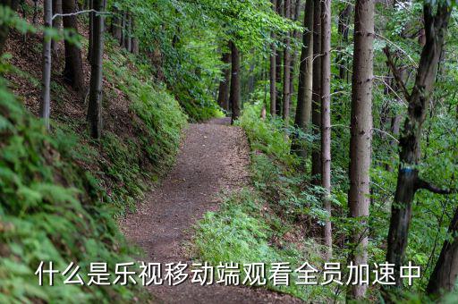 什么是樂(lè)視移動(dòng)端，樂(lè)視移動(dòng)是什么