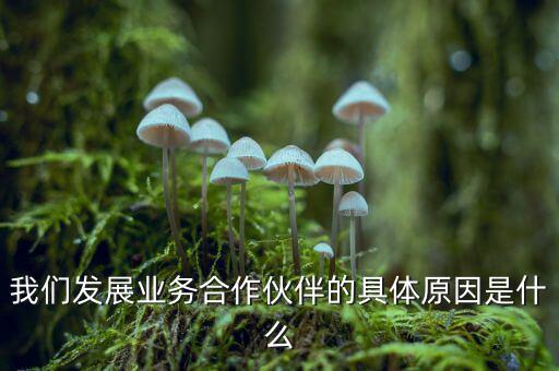為什么要發(fā)展同業(yè)業(yè)務(wù)，匯付天下之前說要大力發(fā)展同業(yè)業(yè)務(wù)同業(yè)業(yè)務(wù)指的是甚么