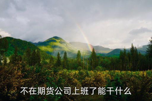 去期貨公司能做什么，本人去某期貨公司總部適合做什么