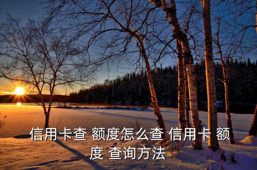 信用卡查 額度怎么查 信用卡 額度 查詢(xún)方法