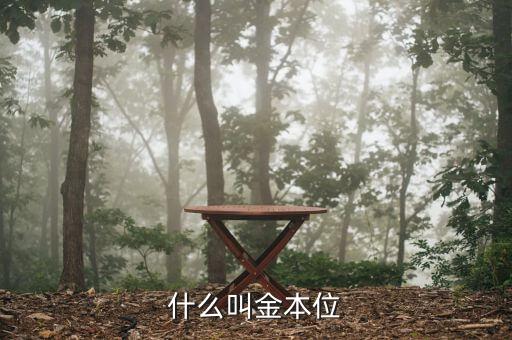 什么是金本位制度，什么叫金本位