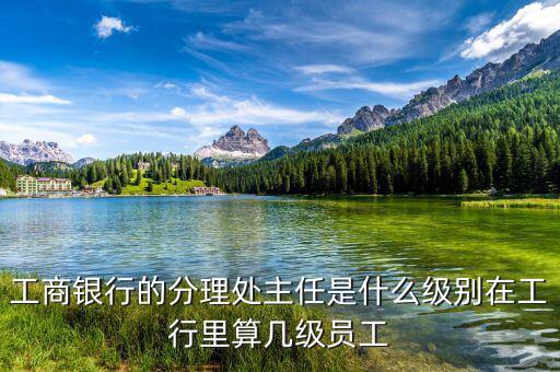銀行分理處值班經(jīng)理是什么職位，工商銀行的分理處主任是什么級別在工行里算幾級員工