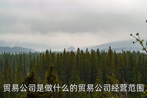 民百集團(tuán)經(jīng)營什么，貿(mào)易公司是做什么的貿(mào)易公司經(jīng)營范圍