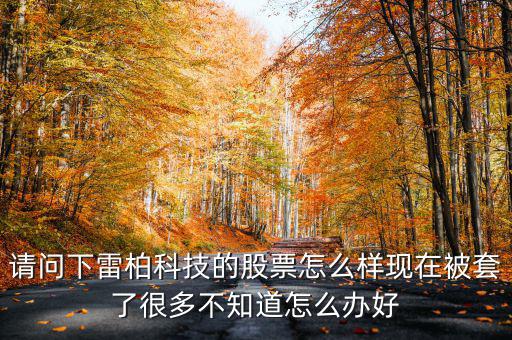 雷柏科技股票是什么板塊，600248是屬于什么板塊的股有潛力沒的能看高到多少價位