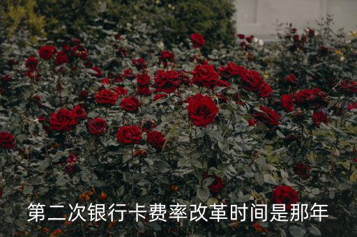 各銀行手續(xù)費(fèi)改革什么時(shí)候開始，第二次銀行卡費(fèi)率改革時(shí)間是那年