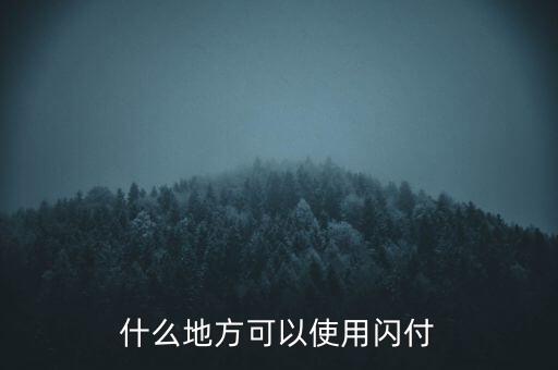 濟(jì)南什么地方支持閃付，濟(jì)南那個(gè)超市pos機(jī)有閃付