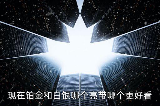 什么白銀最亮，哪種銀子最好